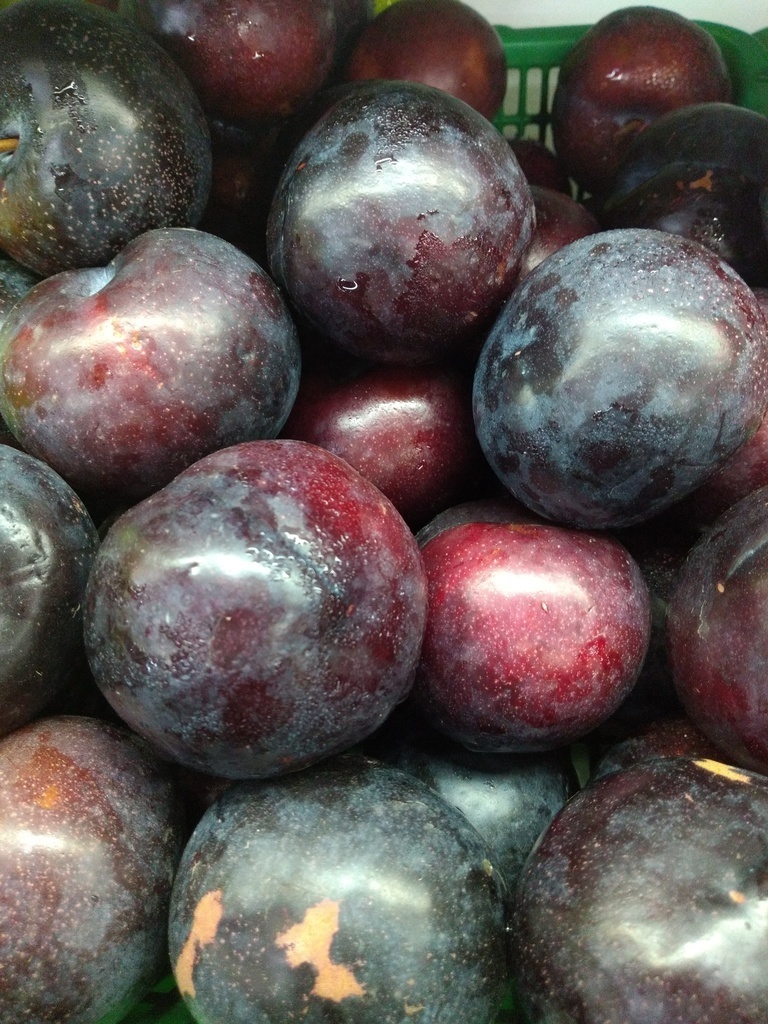 Ciruela chilena