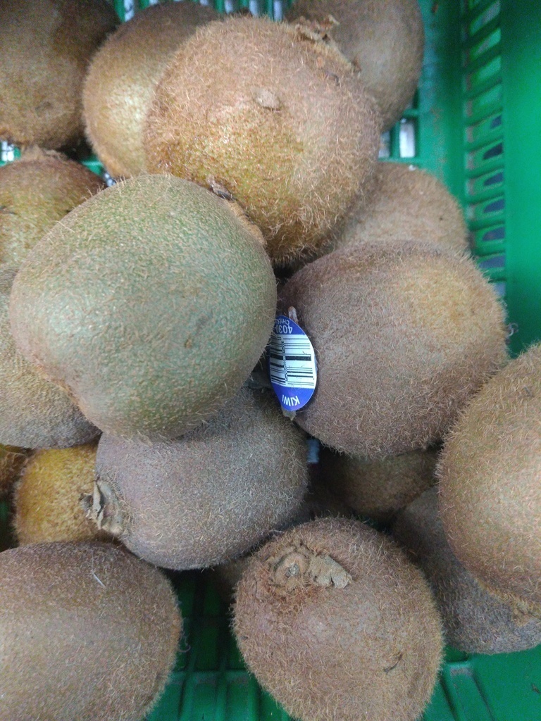 Kiwi