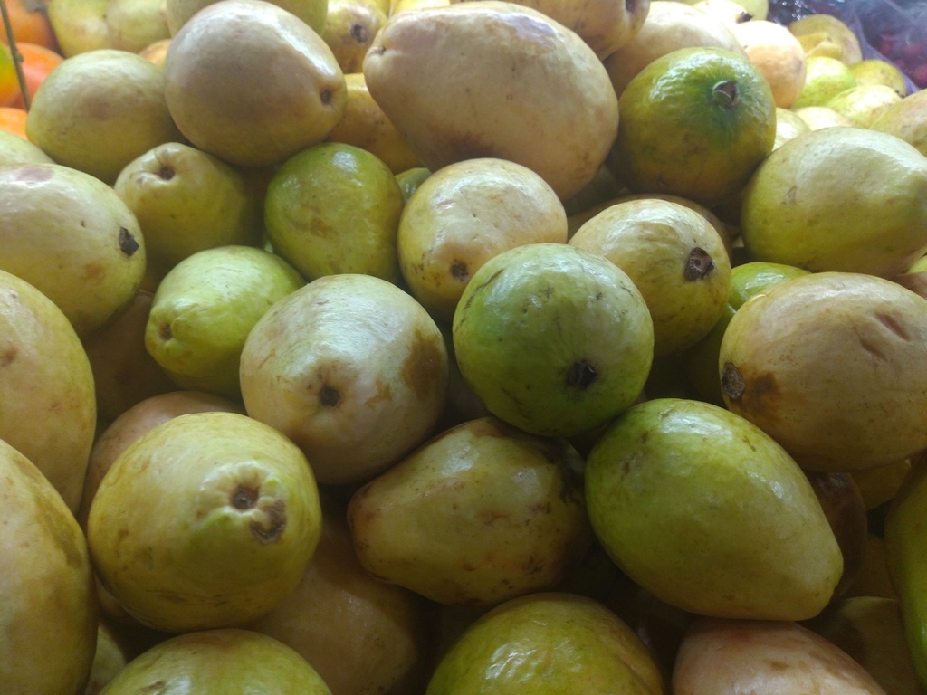 Guayaba
