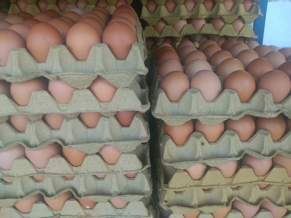 Huevos doble A
