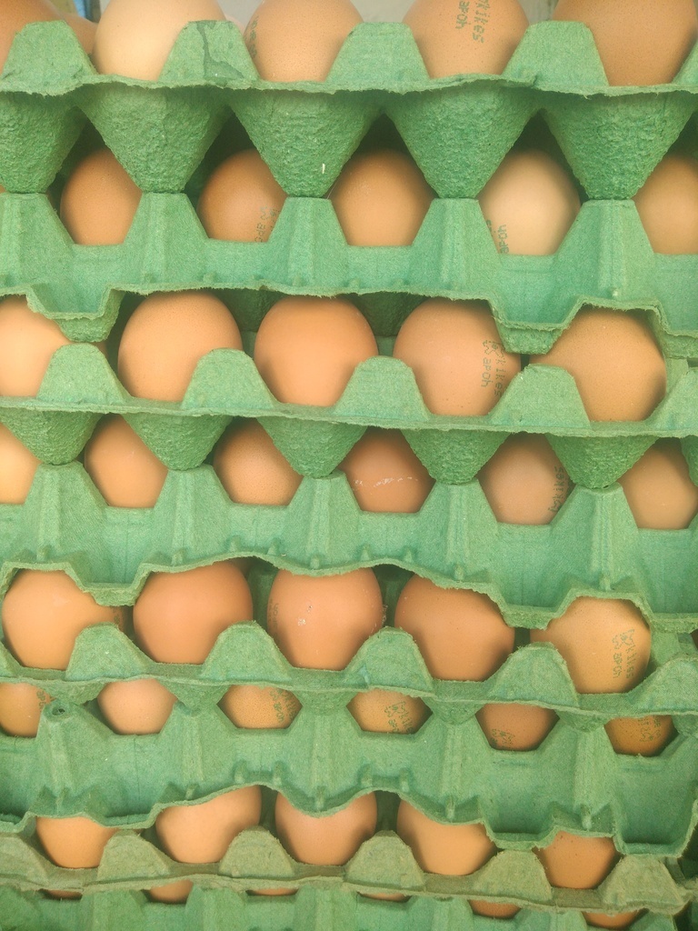 Huevos tipoA