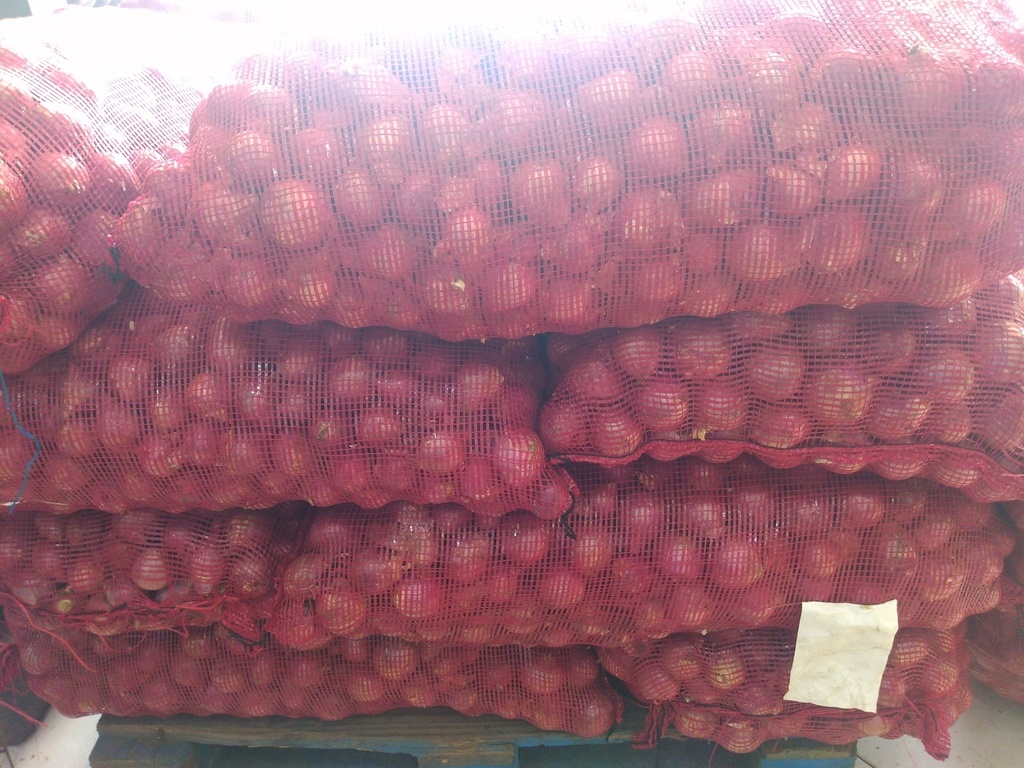 Cebolla peruana