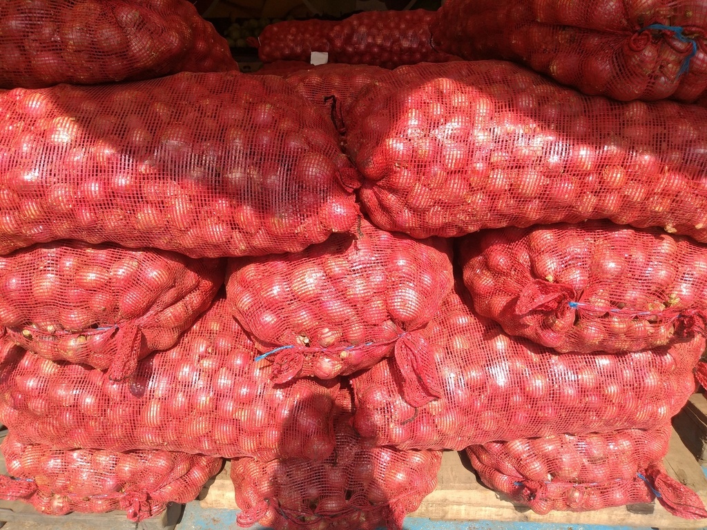 Cebolla ocañera