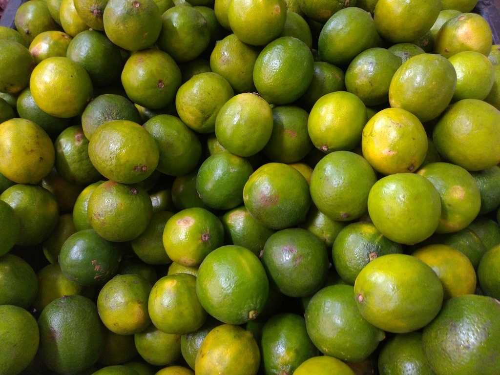 Limón Tahití