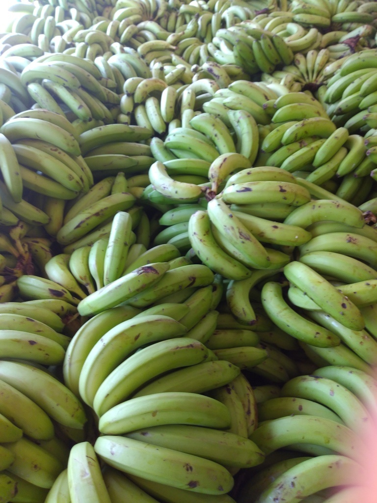 Banano