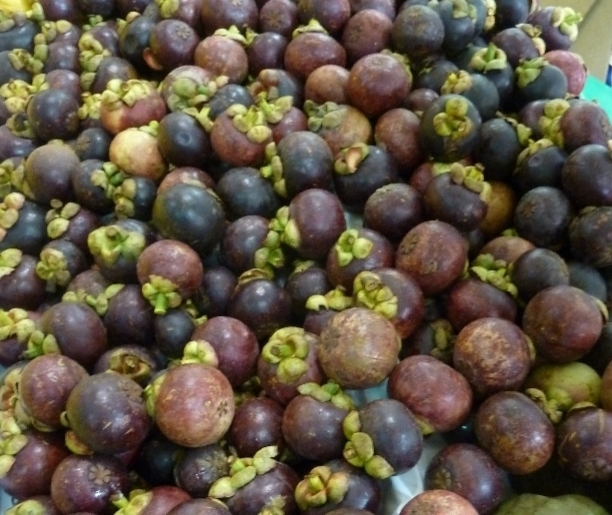 Mangostino selecto