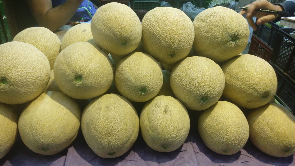 Melon