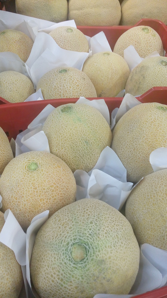 Melon