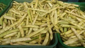 Frijol en cascara