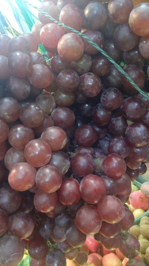 Uva chilena