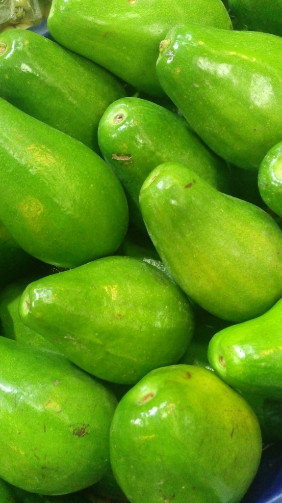 Aguacate papelillo