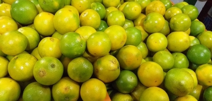 Naranja valencia