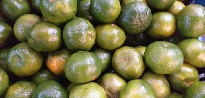 Mandarina oneca