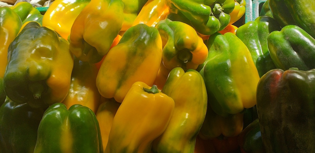 Pimenton amarillo