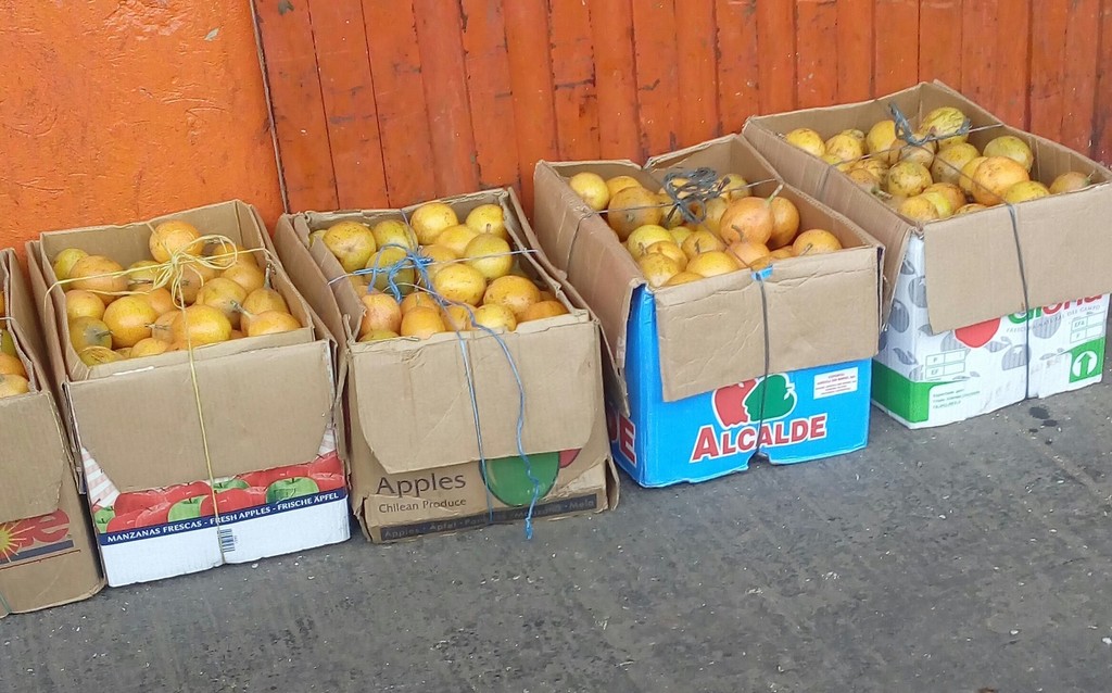 Granadilla