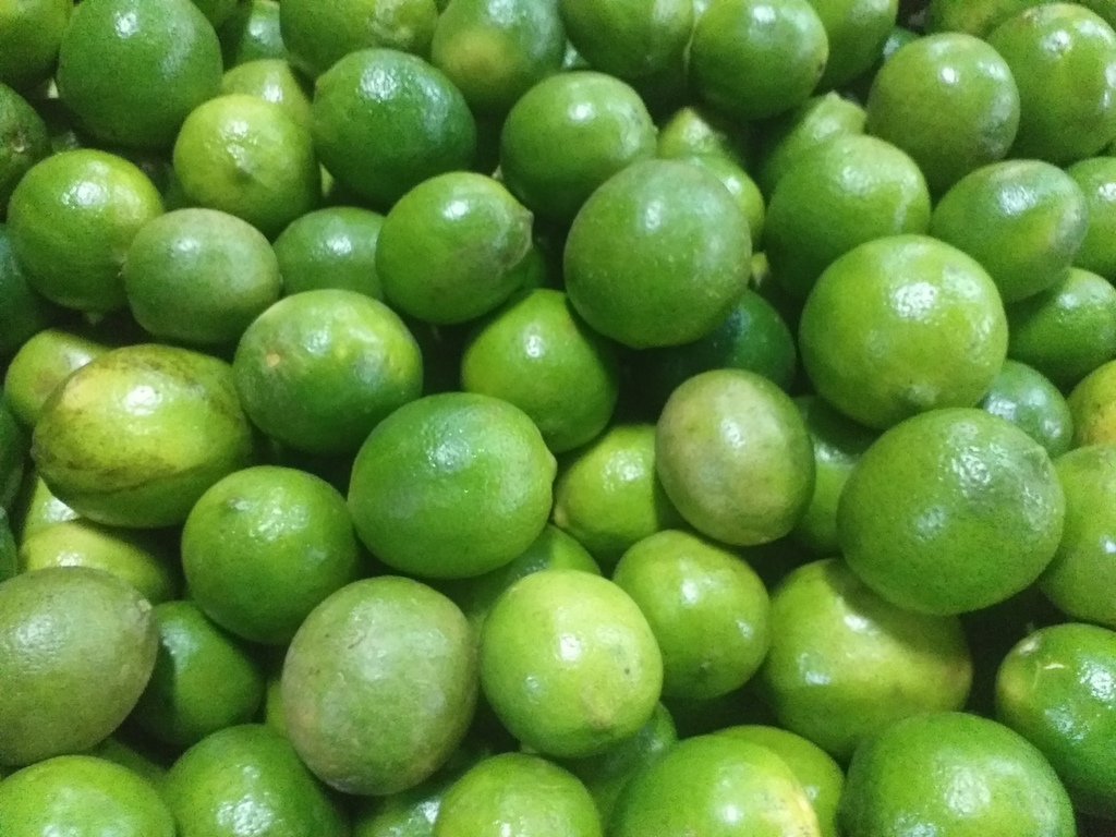 Limon tahiti