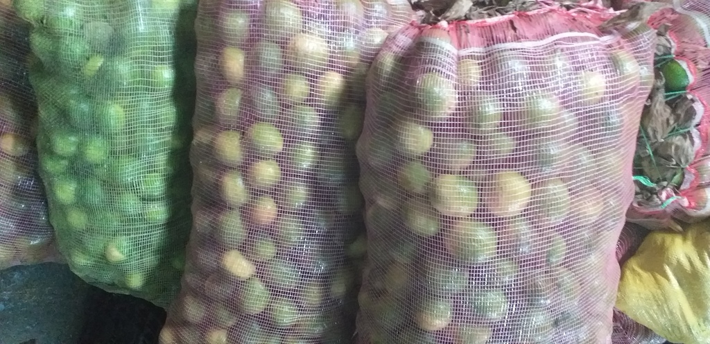 Limon tahiti