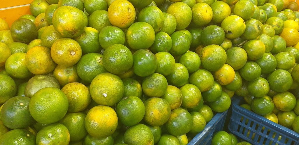 Naranja valencia de 2da