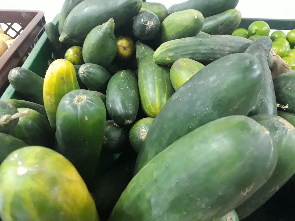 Pepino