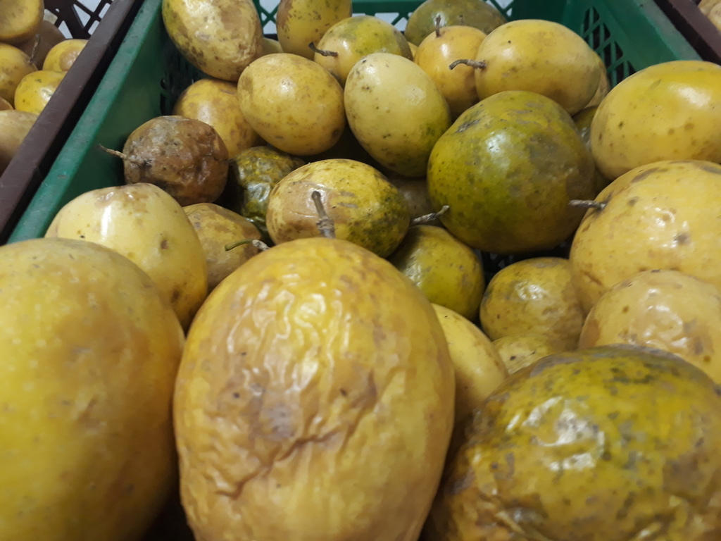 Maracuyá