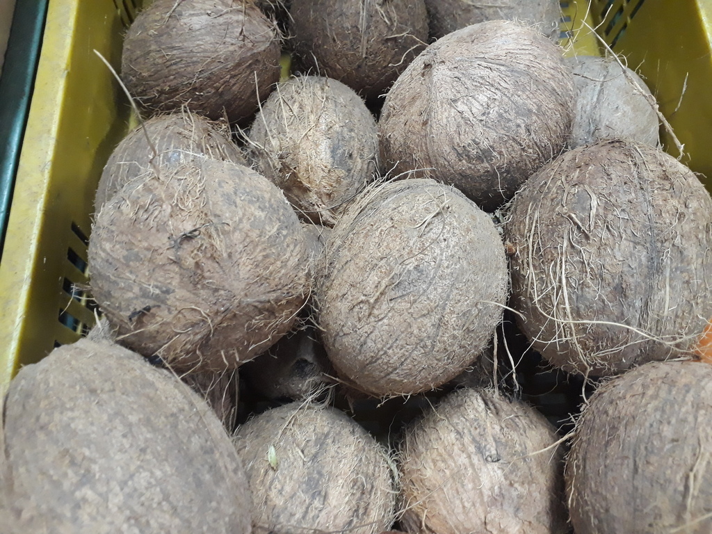 Coco pequeño