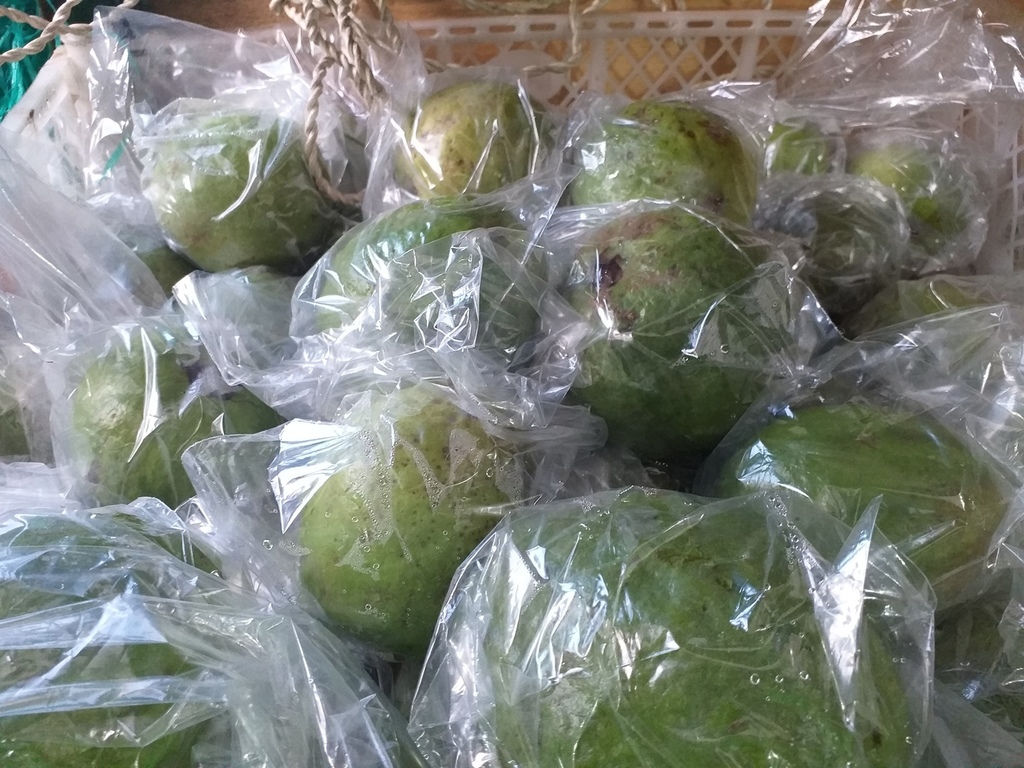Guayaba manzana