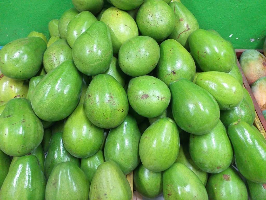Aguacate papelillo