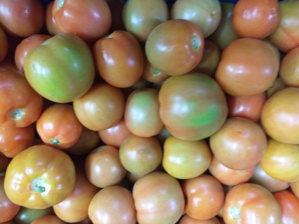 Tomate de aliño