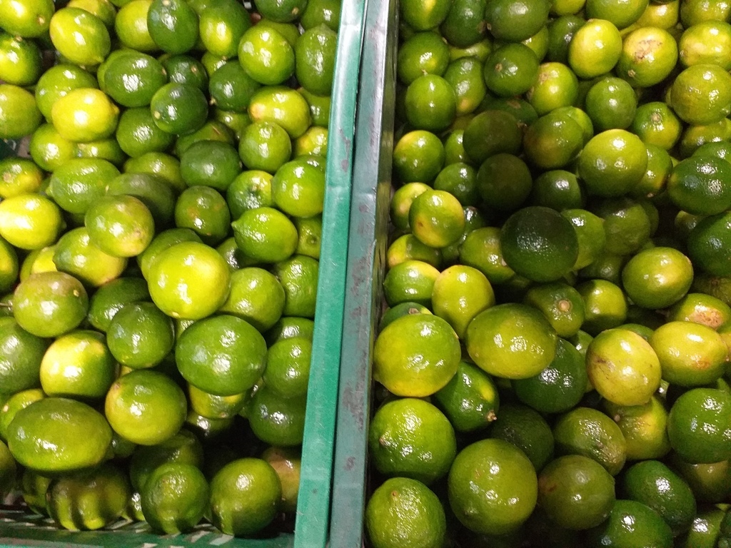 Limon tahiti
