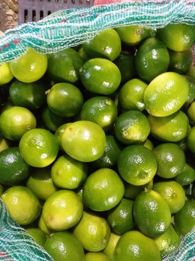 Limon tahiti