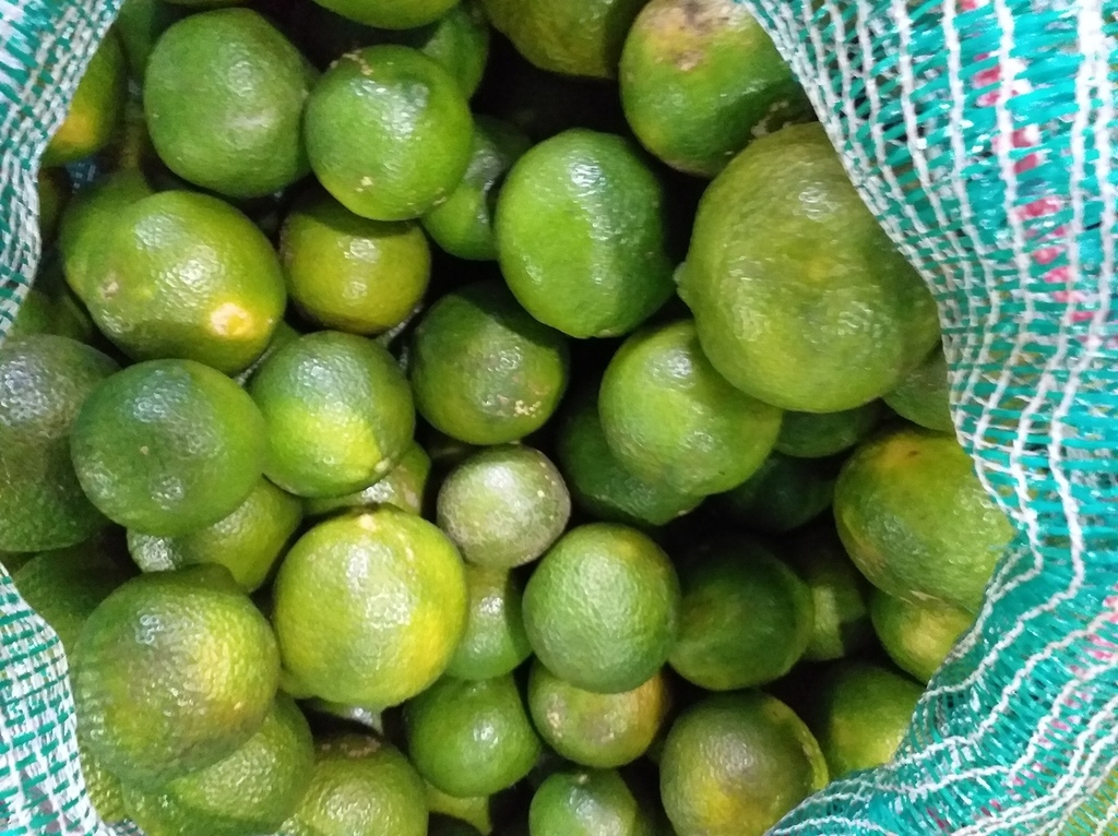 Limon mandarino
