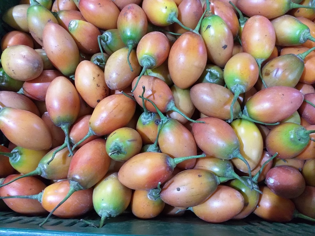 Tomate de arbol