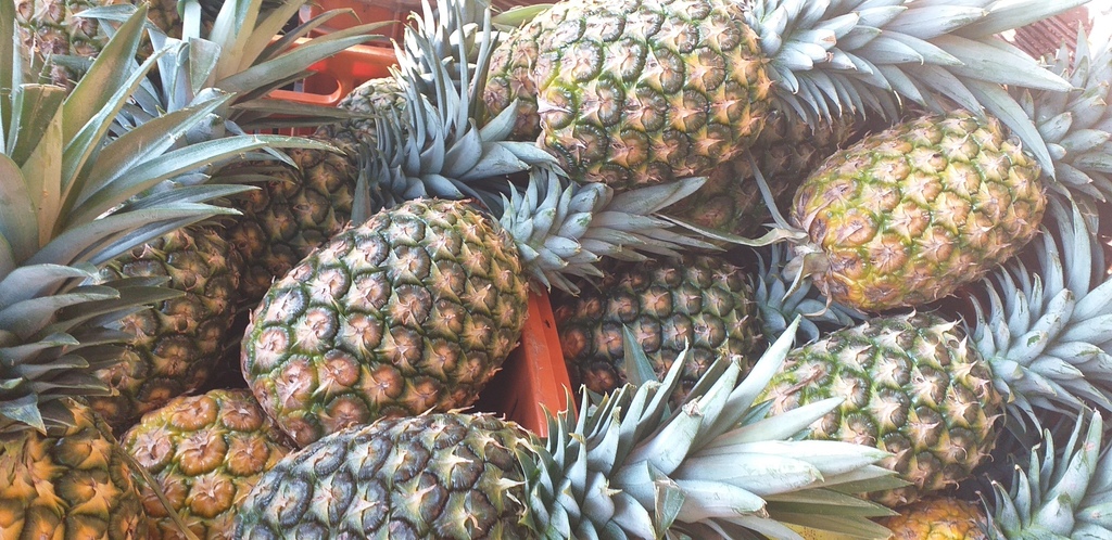 Piña oromiel