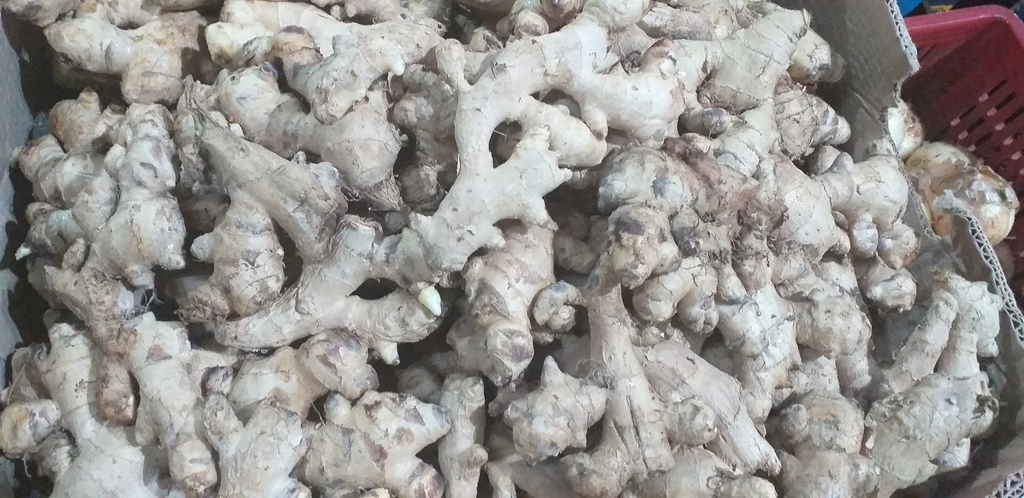 Jengibre