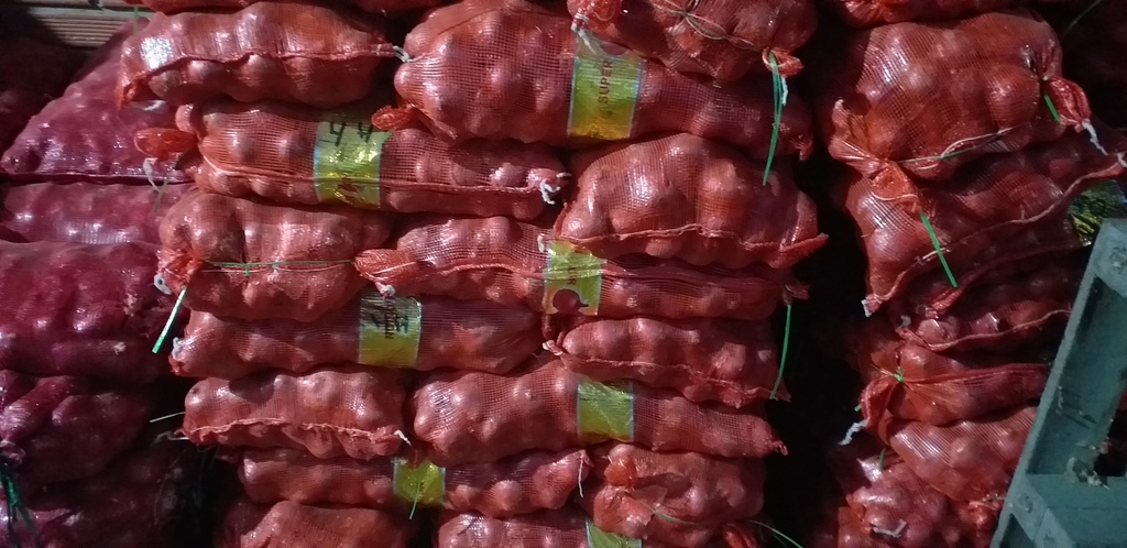 Cebolla roja *48kg