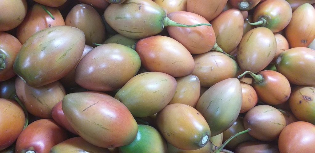 Tomate de arbol