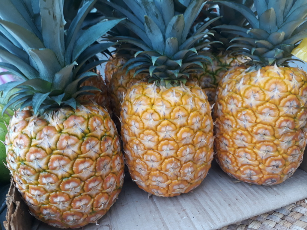 Piña oro miel
