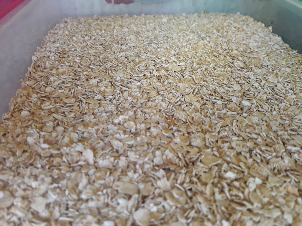 Avena en hojuelas
