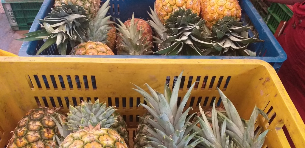 Piña oromiel