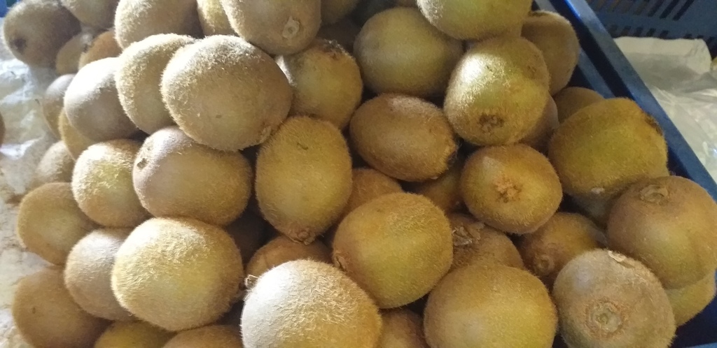 Kiwi