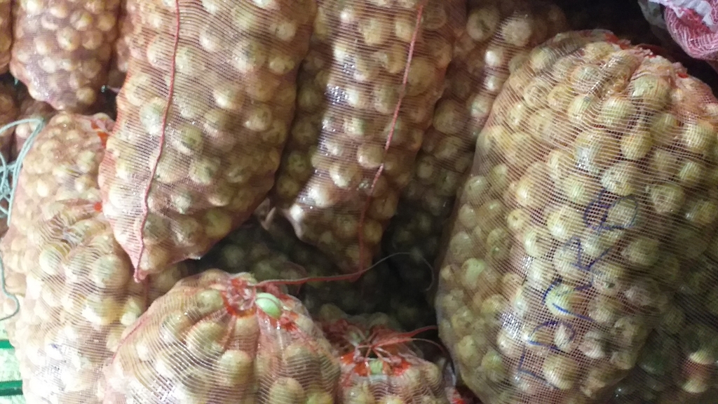 Cebolla blanca *50kg