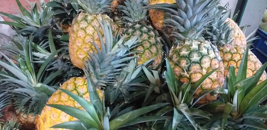 Piña oromiel