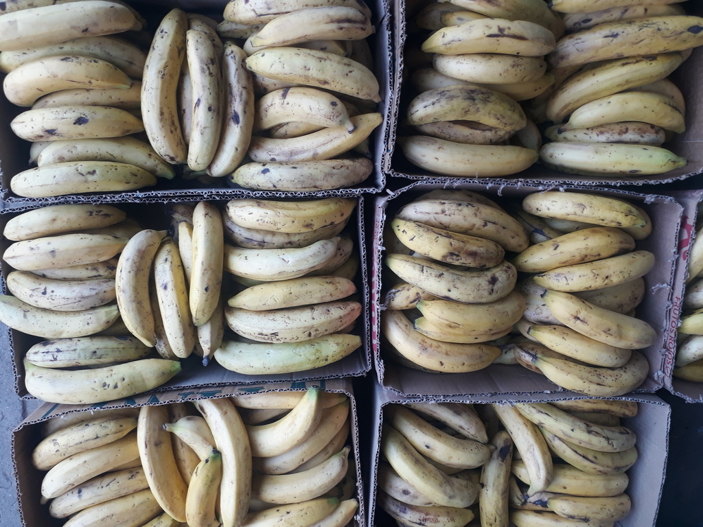 Banano maduro