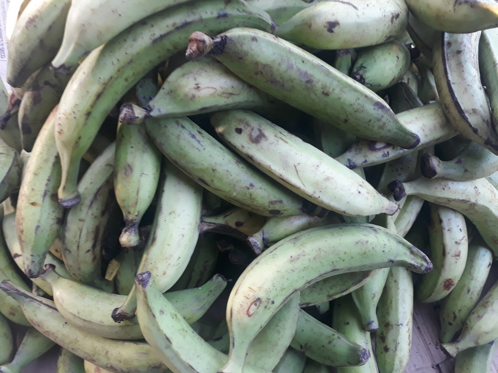 Platano verde de 1ra