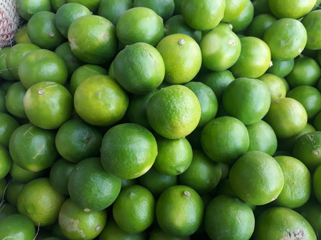 Limón criollo
