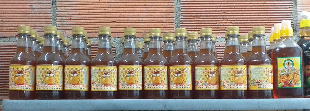 Miel dinamica *500ml