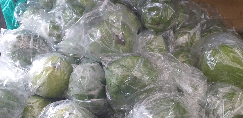 Guayaba manzana