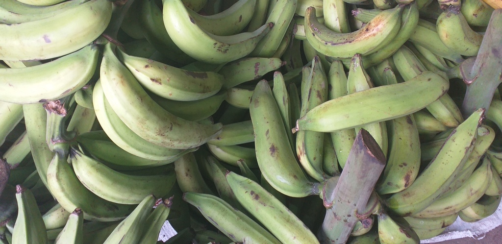 Platano verde