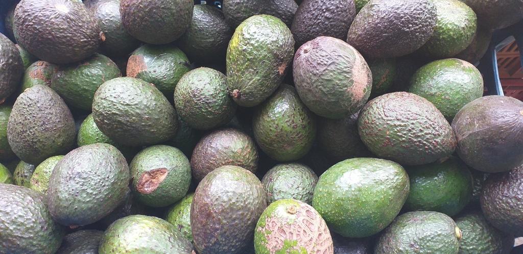 Aguacate hass delgado