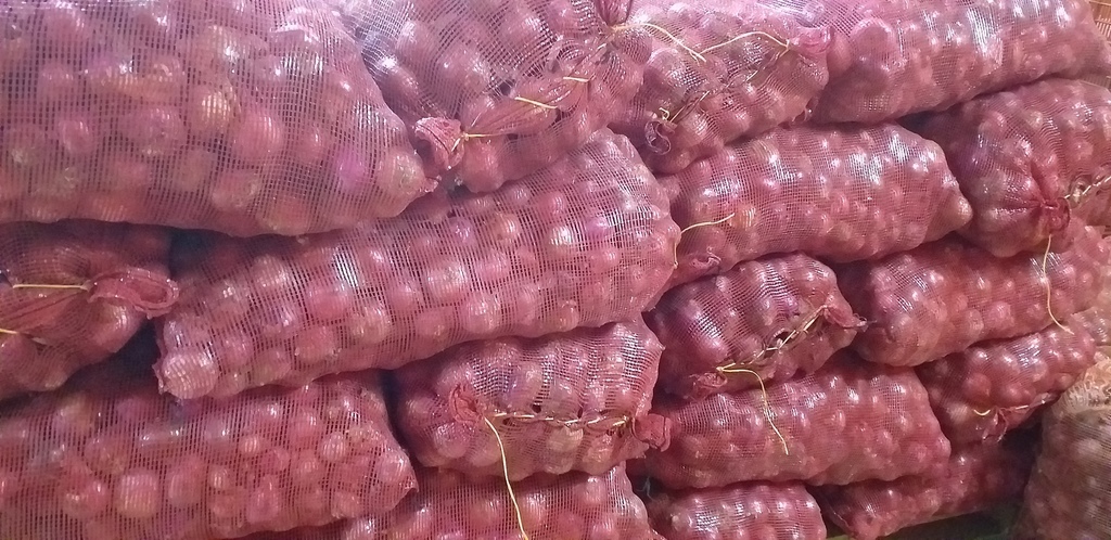 Cebolla roja *50kg